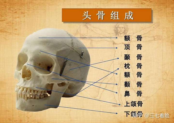 内行人怎么看待下颌角手术?