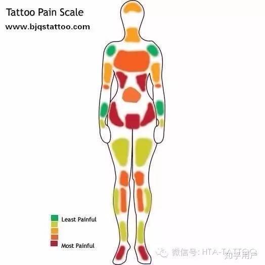 放一张纹身疼痛程度图,绿色是能够忍受的,红色是最难以忍受的.