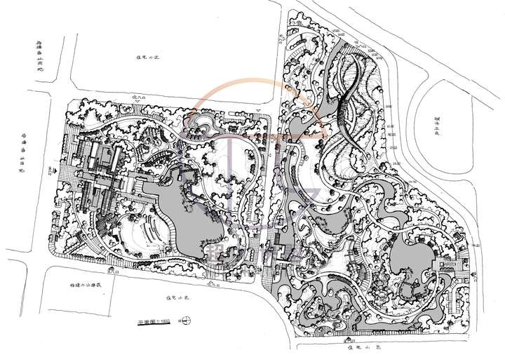 2020年北京林业大学快题解析