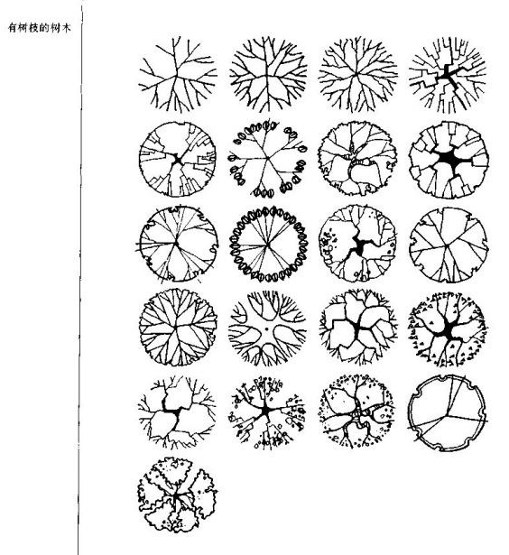 景观手绘中树怎么画比较好看?