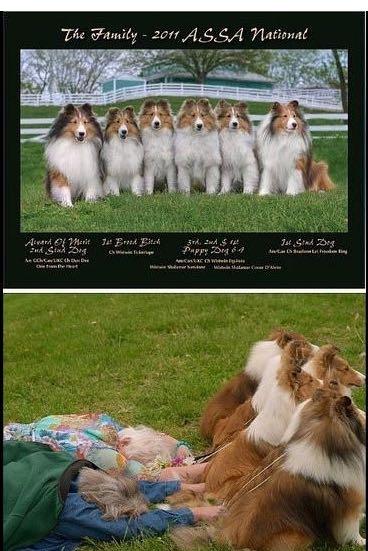 回忆专用<em>小马甲</em>(微博用户) - 最新问答 - 知乎