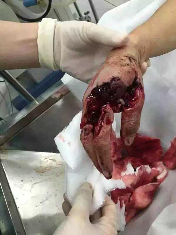 对一个超级想做医生的准高三学生,你有什么意