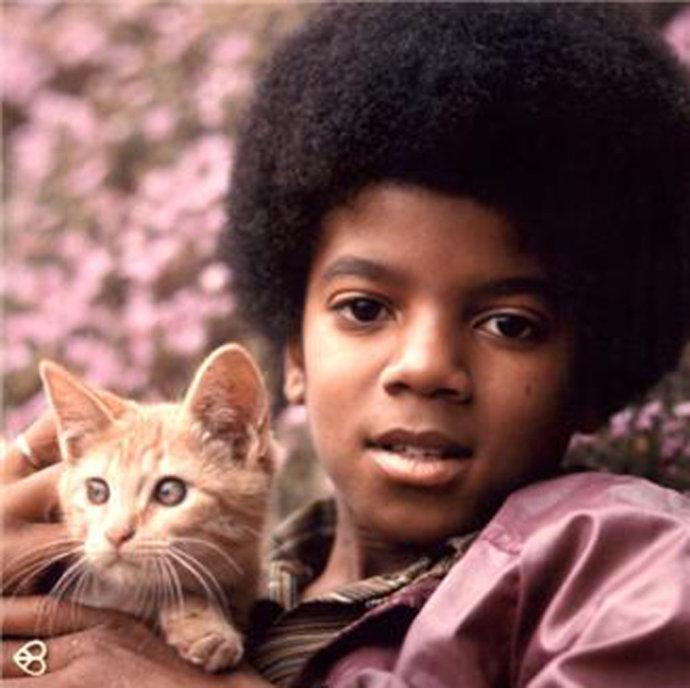 世界上有哪些喜欢猫的名人? - 历史人物