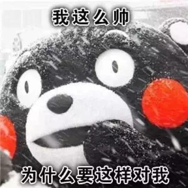 开车特冤的事故或无奈有哪些?