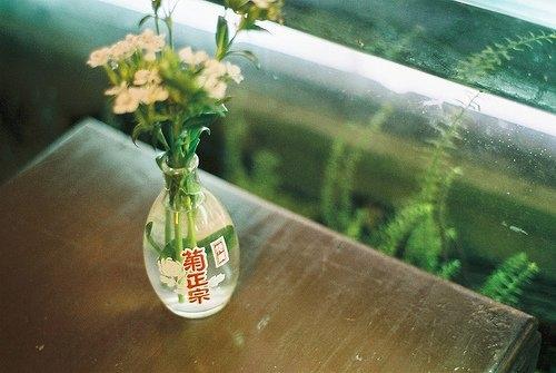 怎么用数码相机拍出胶卷机风格的图片?