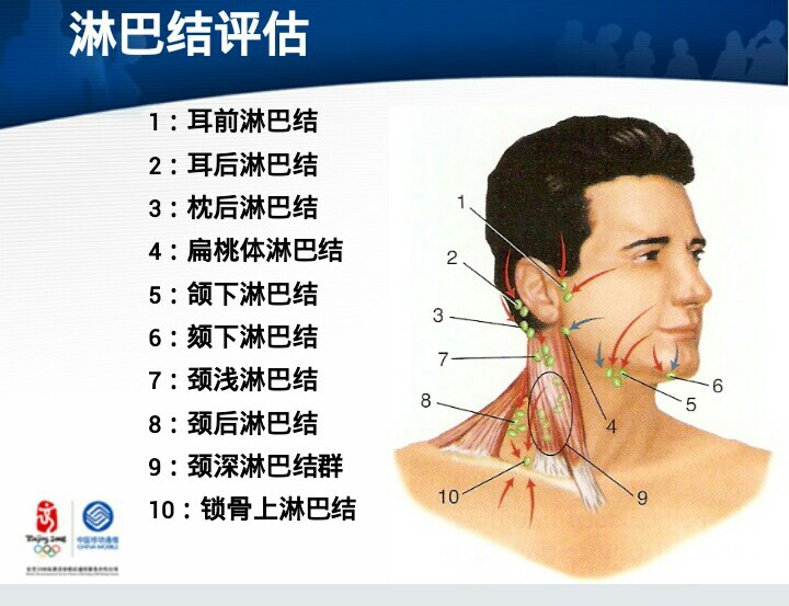 简单的说,就是,距离喉结两个手指.