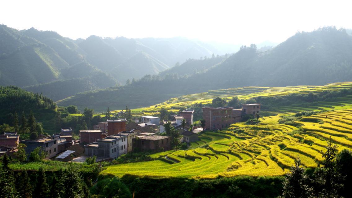 广东有什么好玩的地方? - 王婷的回答 - 知乎