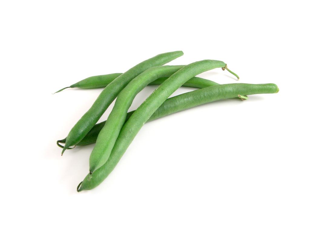 green bean runner bean 学名  phaseolus coccineus,中文名"荷包豆"