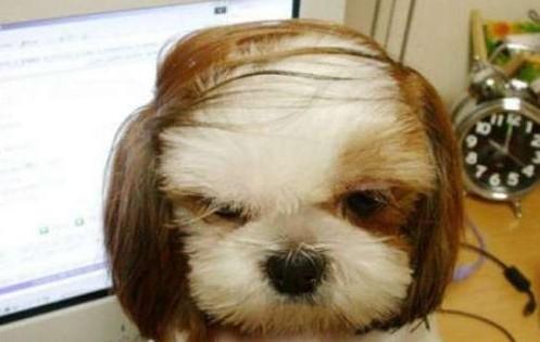 男生如何变得成熟? - 知乎用户的回答 - 知乎