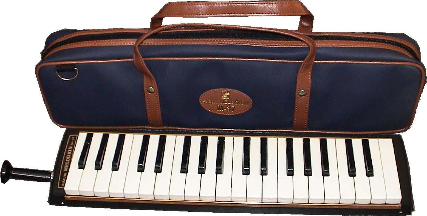 有哪些小巧易学的乐器? - 知乎