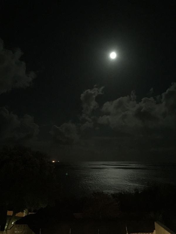 酒店窗前,海上的月光倾泻在海面上,远处的灯塔,今晚看来必将是个宁静