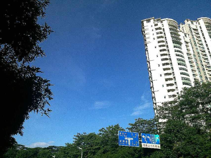 你对深圳的发展前景怎么看?