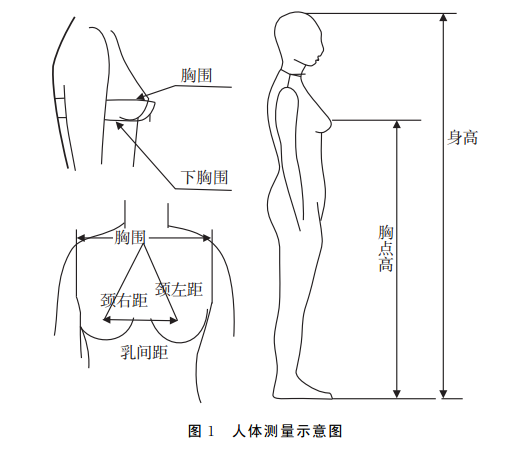 男生青春期内衣_青春期男生发育图片(3)