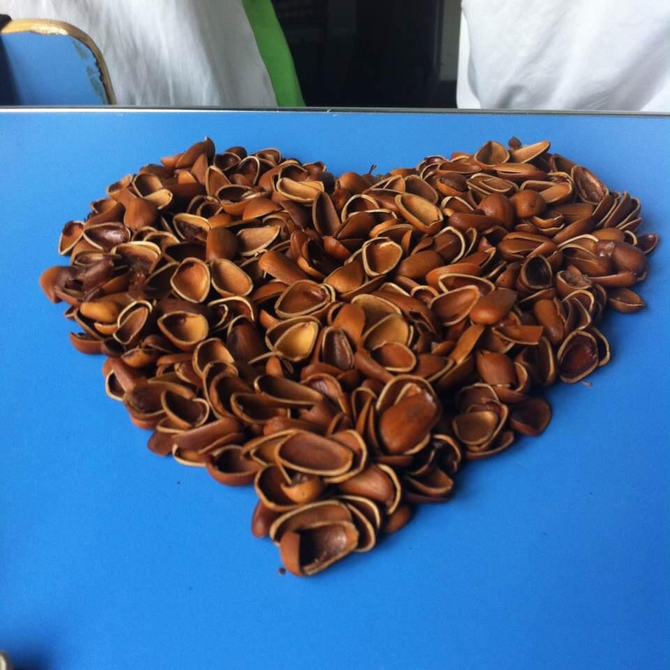 在陕西省西安中学就读是怎样的一种体验?