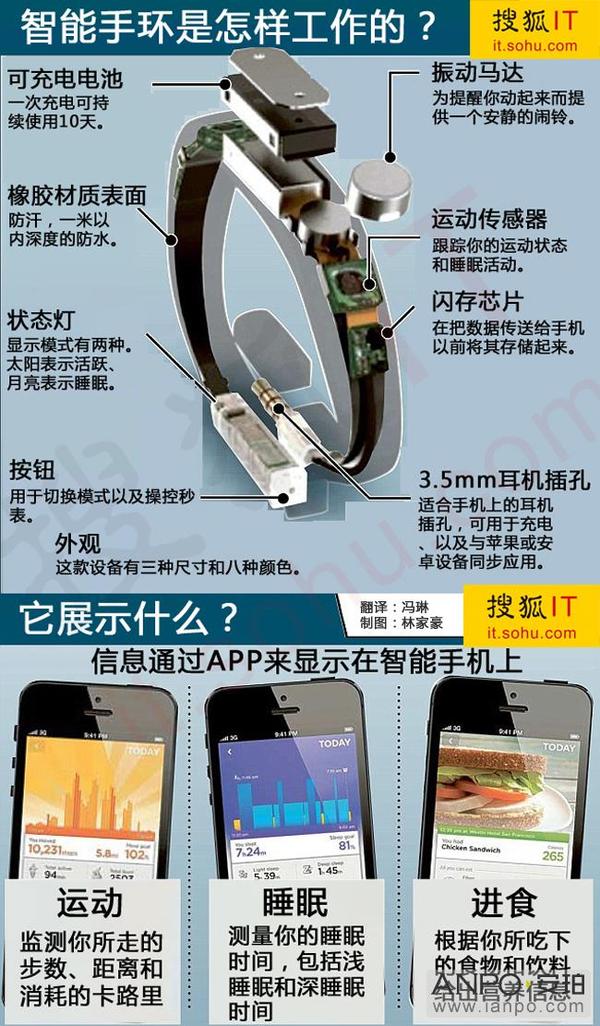 目前已知的智能手环的结构包括: 运动传感器(除了三轴加速度传感器