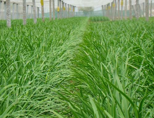 8月18股票为何会大跌?