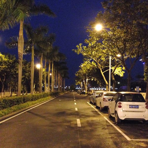 嘉庚公园: 晚上吃过饭可以去嘉庚公园散步,吹吹海风神马的,太惬意了.