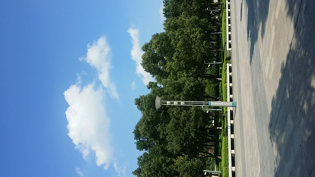 想要定居苏州工业园区,合适吗? - 贾舜的回答 -