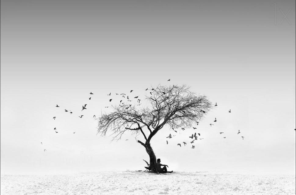 有哪些文艺而有韵味的句子?