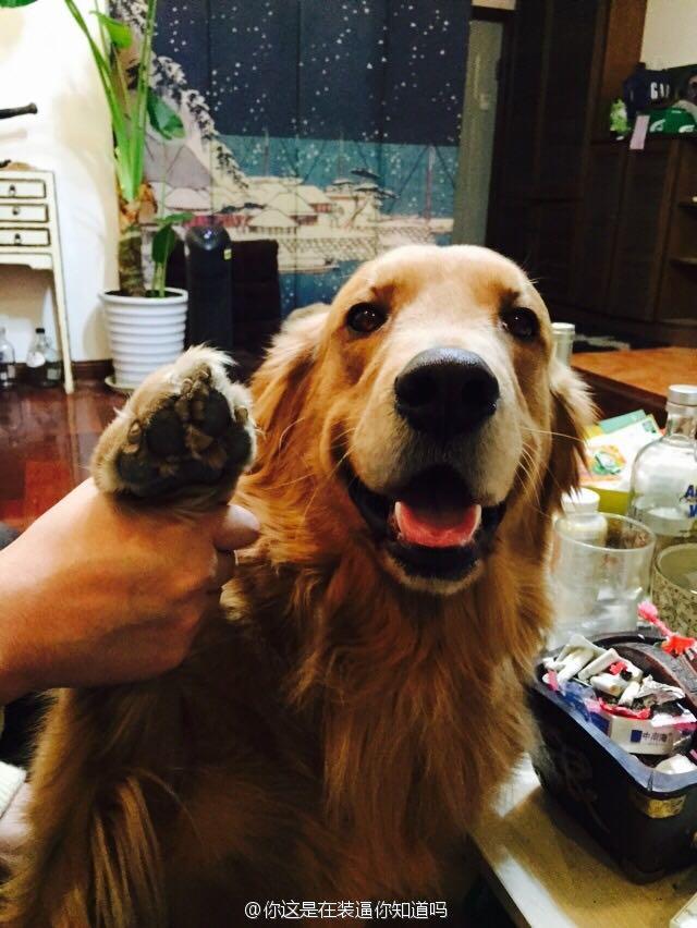 新浪微博上的红人,比如逼哥 尸姐 <em>七粽</em> 回忆专用