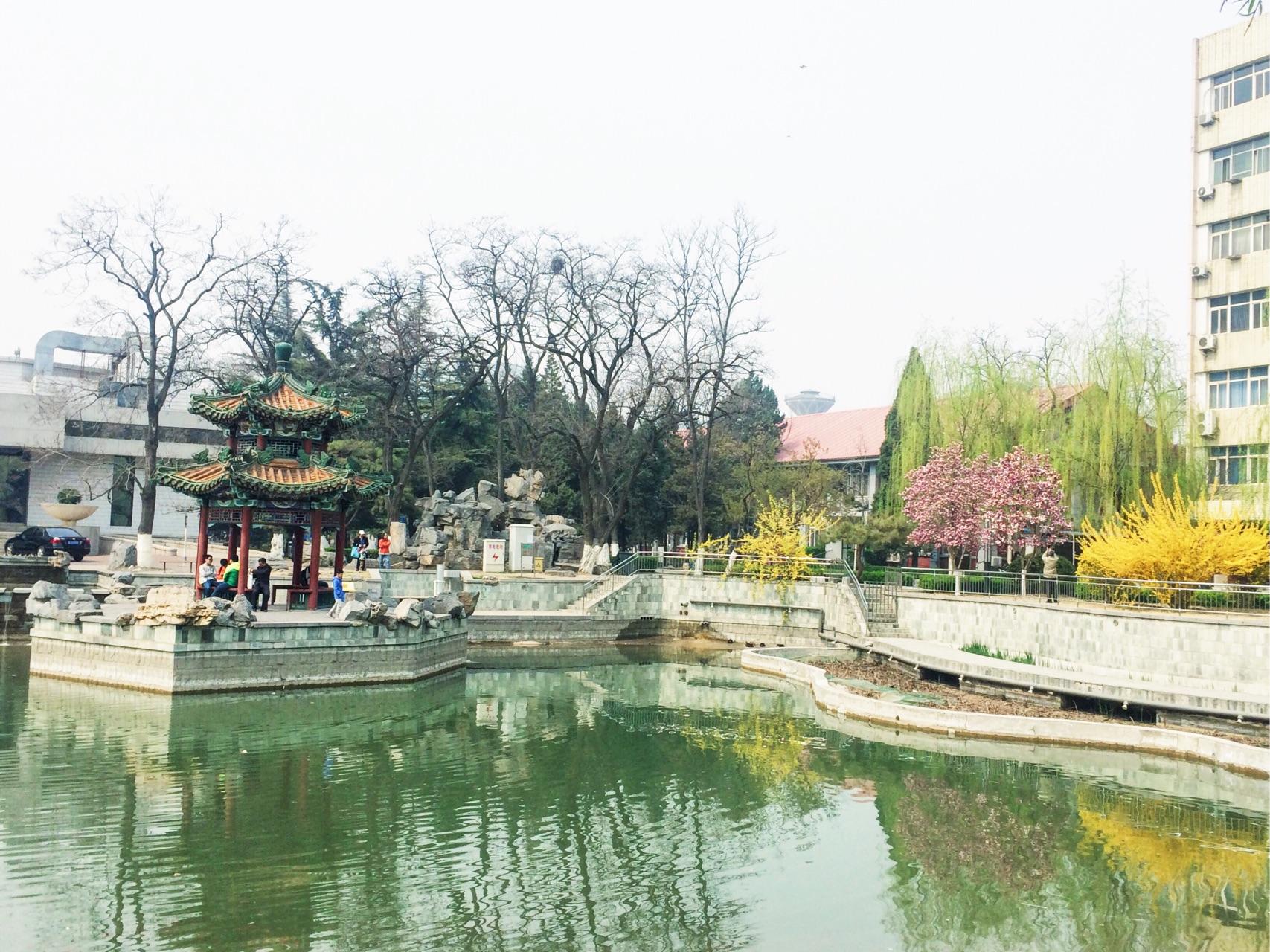 北京交通大学?-少女心的欣宇酱的觉得身材回答女生好男生图片