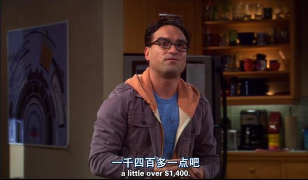 《生活大爆炸》中为何 sheldon 和 leonard 两个高收入者需要合租分担