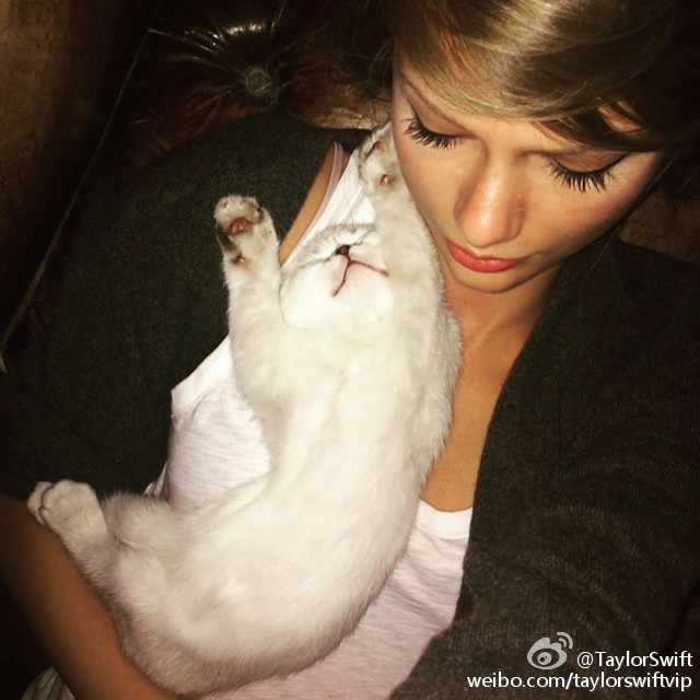 世界上有哪些喜欢猫的名人? - 邱兴州的回答