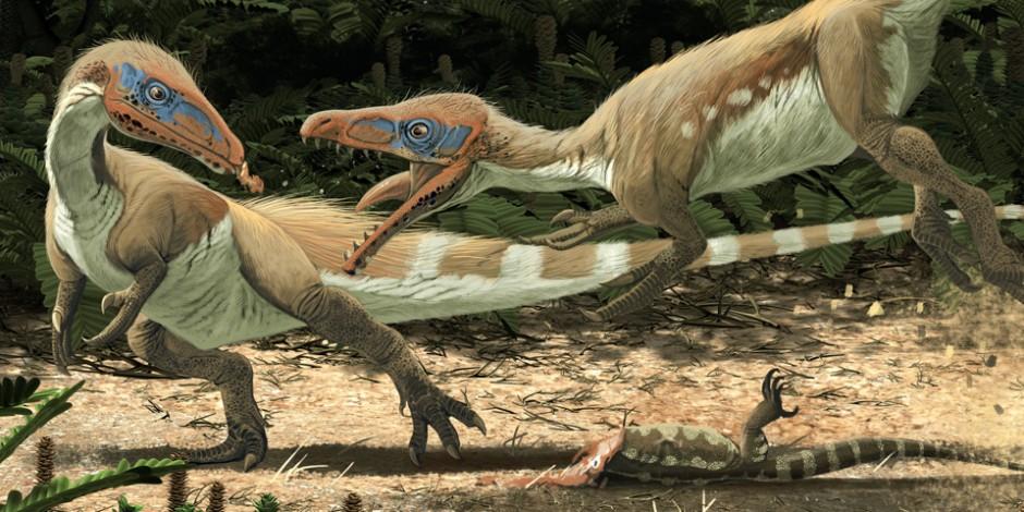 恐龙是怎么演化为鸟类的?