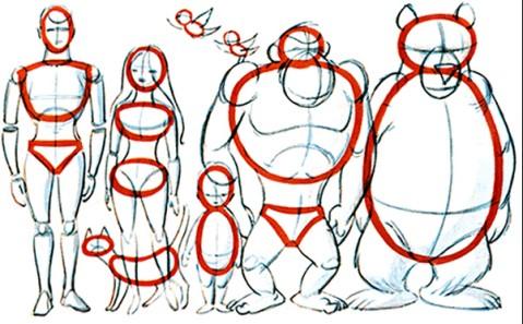 保险行业结构分析 人体结构与保险