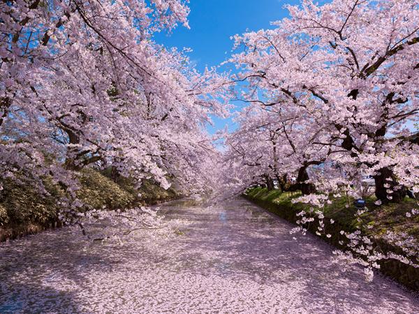 日语里有哪些很美的词?