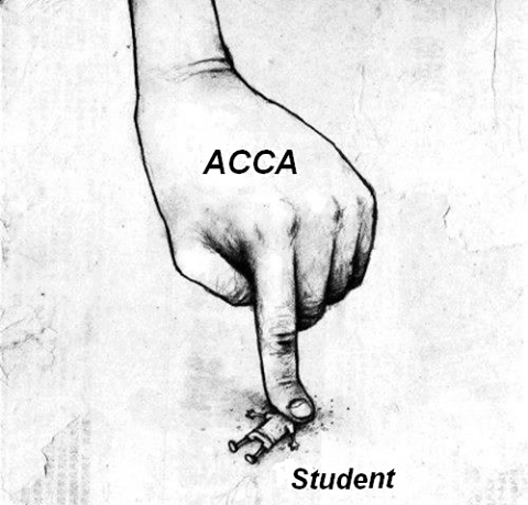 ACCA 一年可以报几门? - my name 的回答 - 知