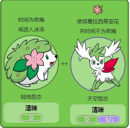 492 洁咪