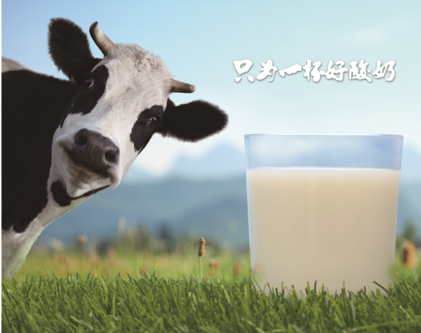 骑士零添加酸奶