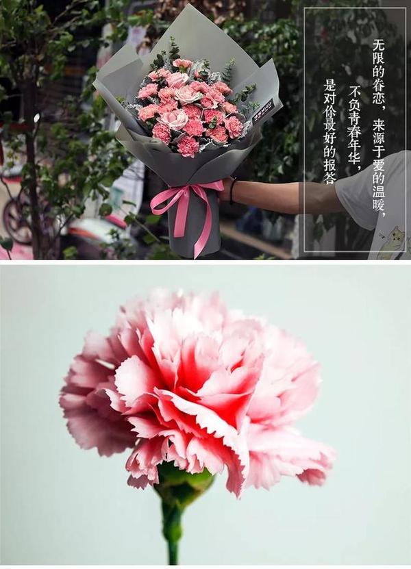 1 虽然说教师节送康乃馨已经 " 老掉牙 ",但仍然无损它在花中的地位.