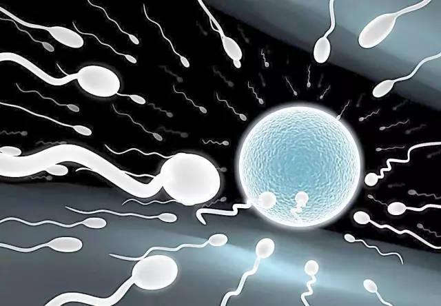 试管婴儿过程中为什么精子和卵子不结合?