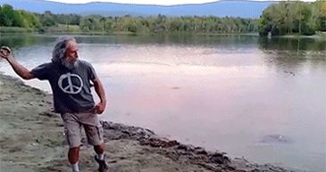 一份让我有归宿感的职业保险经纪人