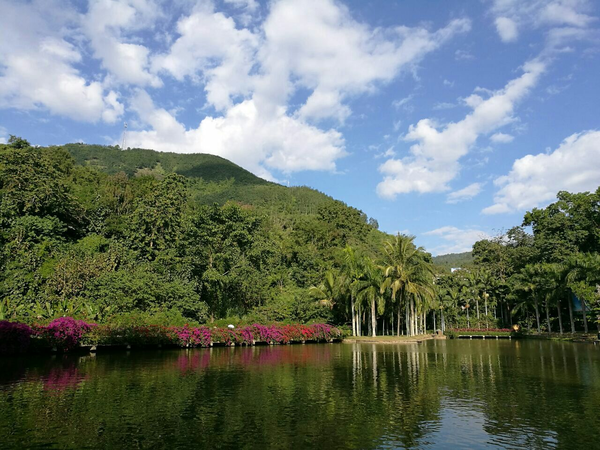 云南热门旅游景点 西双版纳原始森林公园旅游攻略 低音号导游