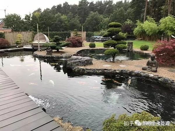 资深庭院设计师带你打造美观又实用的鱼池水景