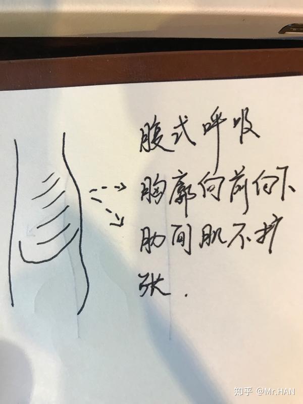 相比于单纯的腹式呼吸 肺部扩张 横隔肌向下的状态来说