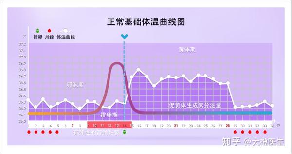 ② 然后,找出低温区与高温区,高低温区呈明显的双相变化,高温区的体温