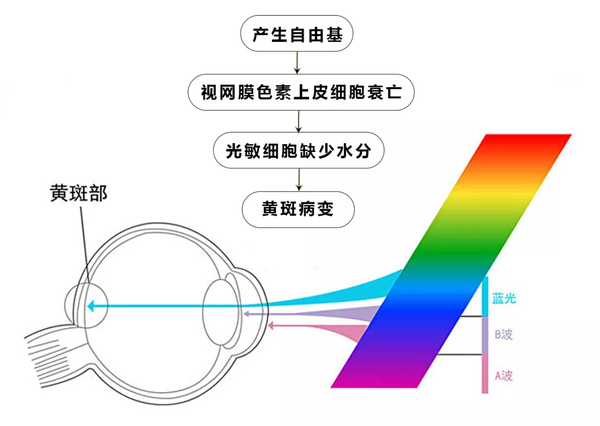 防蓝光眼镜真能护眼?是忽悠还是神器,听听专家怎么说