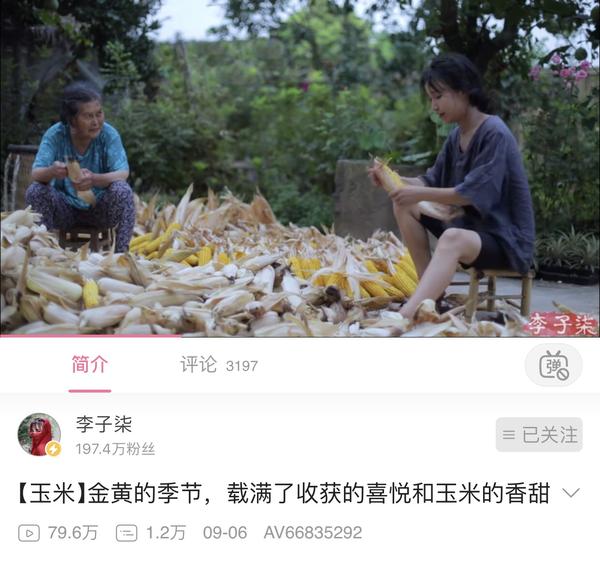 应该是目前关于李子柒团队最详细的分析