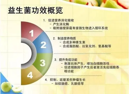 如何养狗系列67狗狗益生菌的常见种类