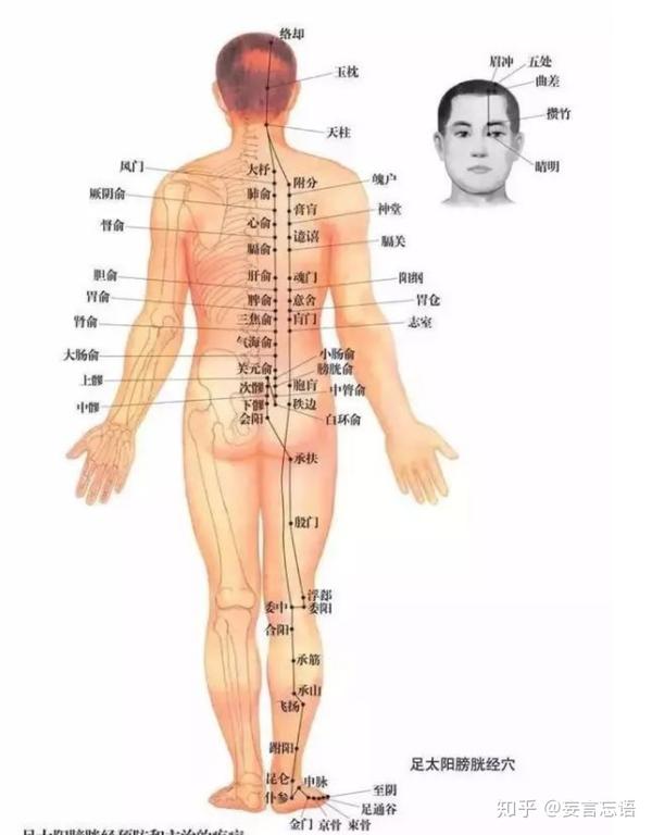 腰以上为三阳地面,三阳主外,而本乎里. 心者,三阳夹界之地也.