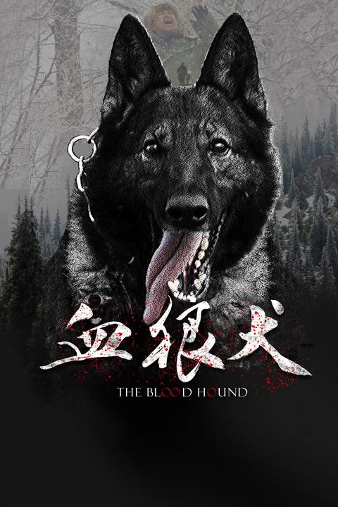 血狼犬