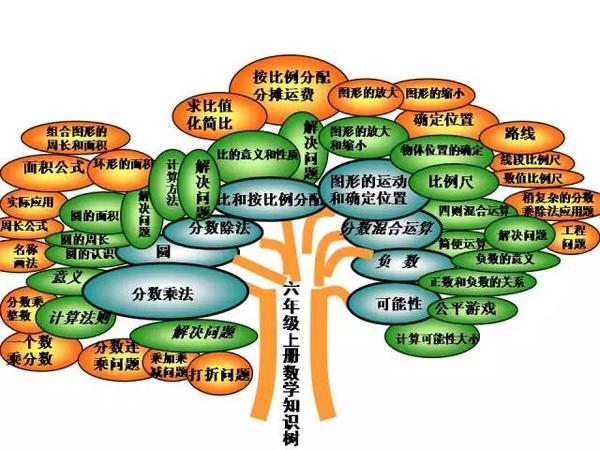 六年级上数学知识树rjb