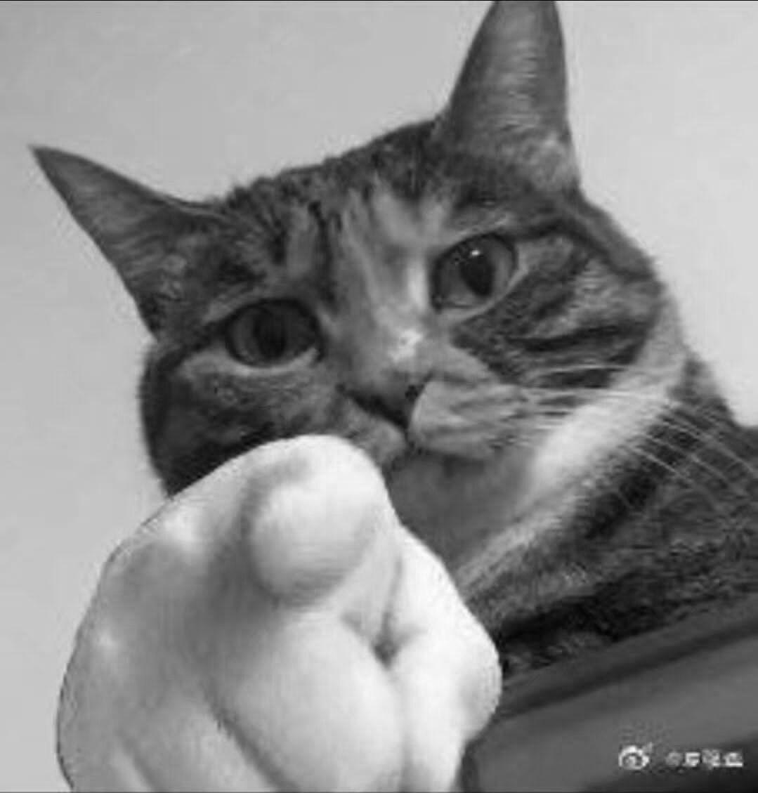 谁有二哈指人的表情包