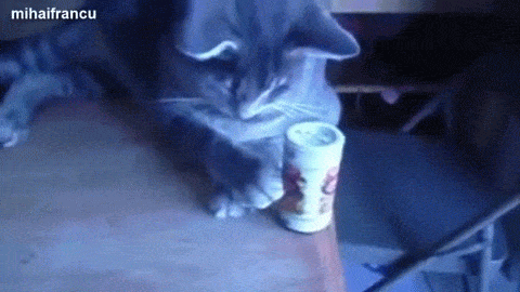 为什么每次做公交车都想把安全锤拿下来砸玻璃一顿?