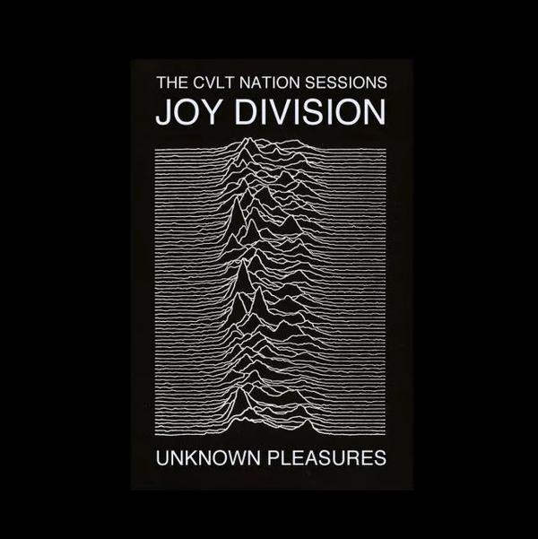 这种科学对艺术的美学的影响并不是从 joy division 的专辑封面才