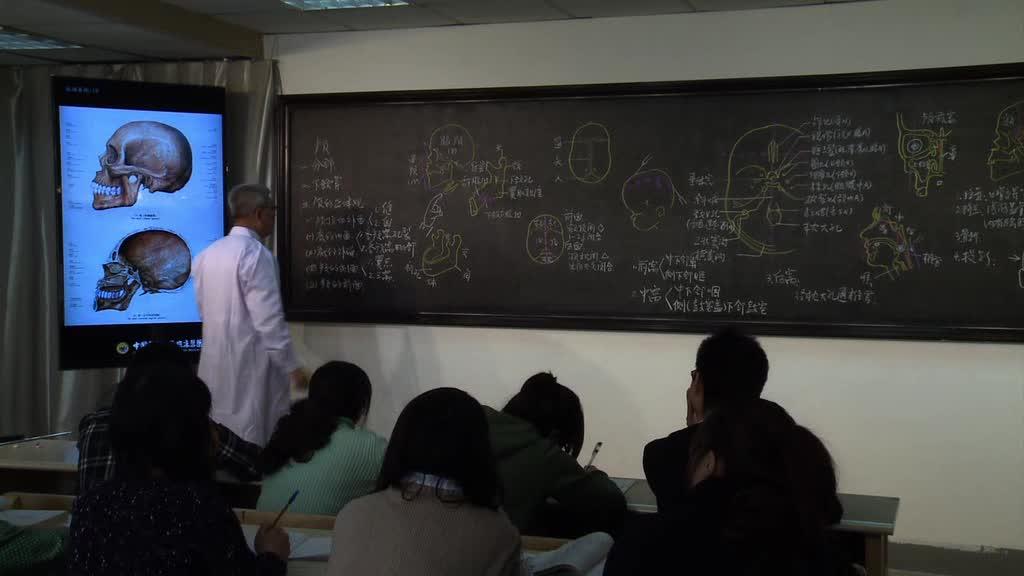 系统解剖学第38讲脉管系统4霍琨教授中国医科大学